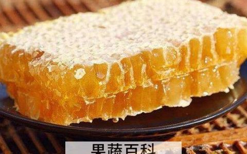 硬蜂房和软蜂房的区别