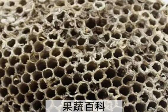 硬蜂房和软蜂房的区别