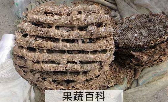 炙蜂房与蜂房的区别 蜂房的功效与作用