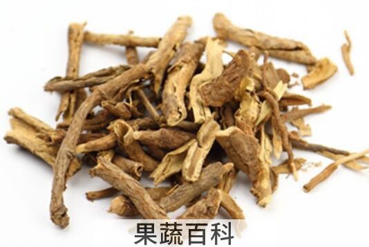 南五加皮和北五加皮的区别