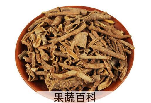 南五加皮和北五加皮的区别