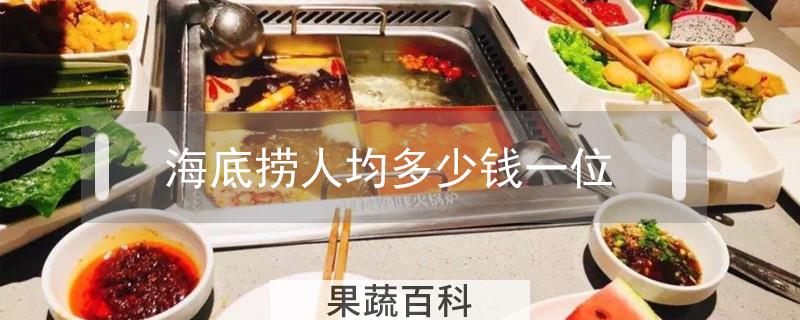海底捞人均多少钱一位