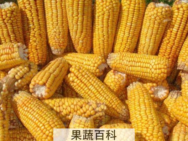 口感一级棒的步骤诀窍 玉米要煮多久