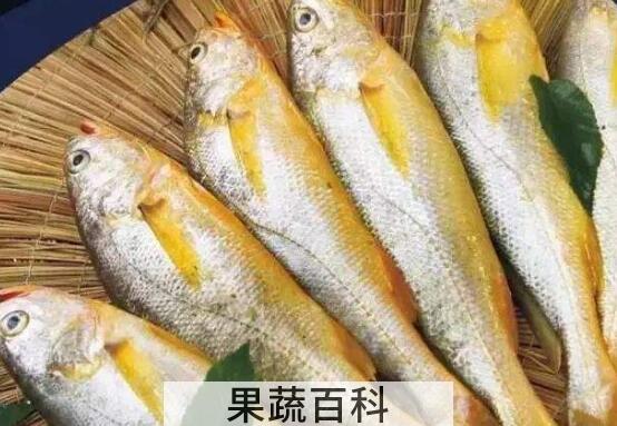 黄花鱼的营养价值 吃黄花鱼的好处