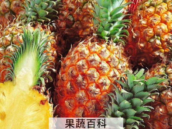 究竟哪里不一样 凤梨和菠萝的区别