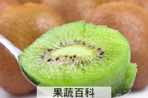 徐香猕猴桃的功效与作用及禁忌
