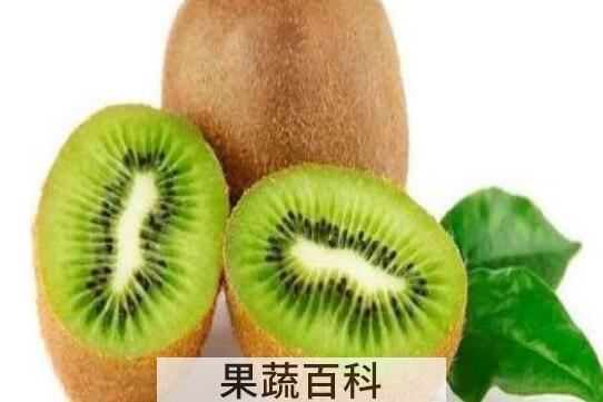 徐香猕猴桃的功效与作用及禁忌