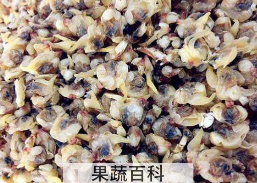 玉螺怎么处理干净 玉螺怎么清洗