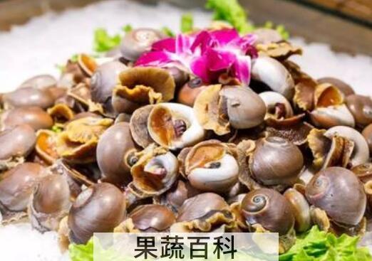 玉螺怎么吃好吃 玉螺的正确食用方法