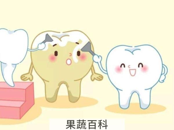存在皆有道理 香蕉皮的用途