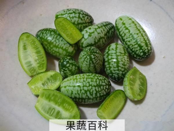 拇指西瓜怎么吃 连籽带皮咬爆炸