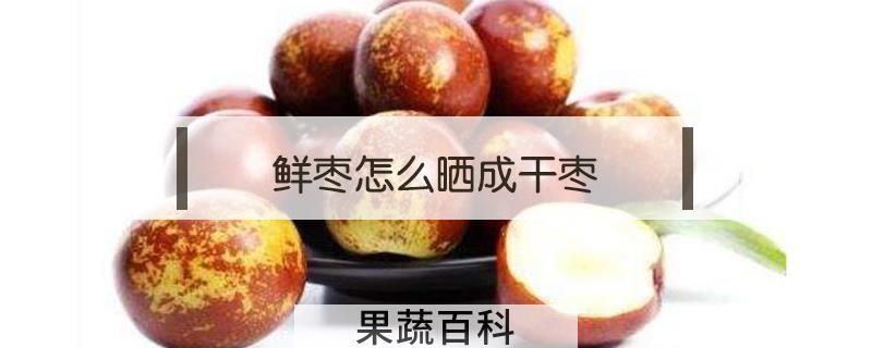 鲜枣怎么晒成干枣