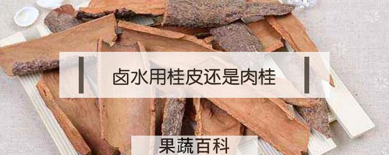 卤水用桂皮还是肉桂