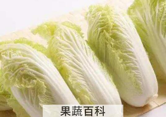 娃娃菜和大白菜的区别