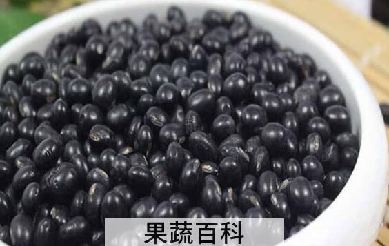 醋泡黑豆的功效与作用 吃醋泡黑豆的好处