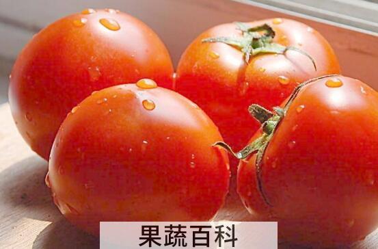 促消化的食物有哪些 吃什么食物促进消化