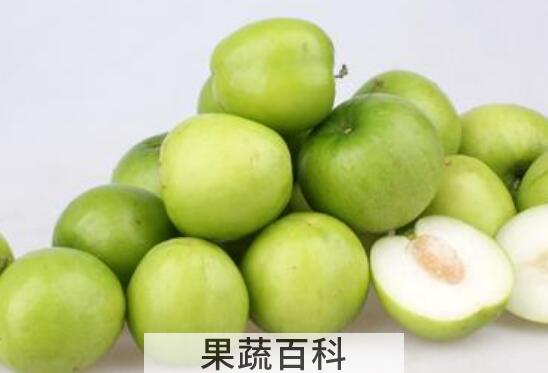 脆冬枣的营养功效与作用