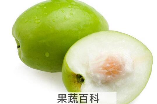 脆冬枣的营养功效与作用