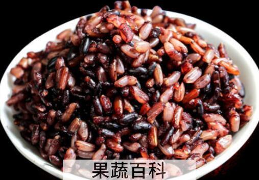三色糙米怎么煮不熟 三色糙米的正确煮法