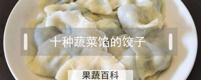 十种蔬菜馅的饺子
