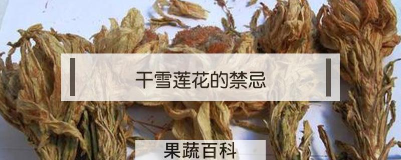 干雪莲花的禁忌