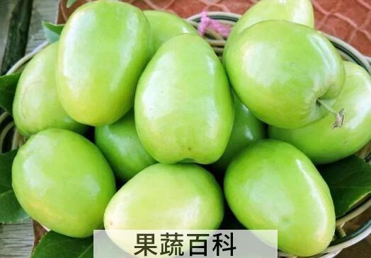 台湾冬枣的营养功效与作用