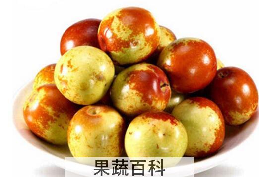 冬枣的营养功效与作用