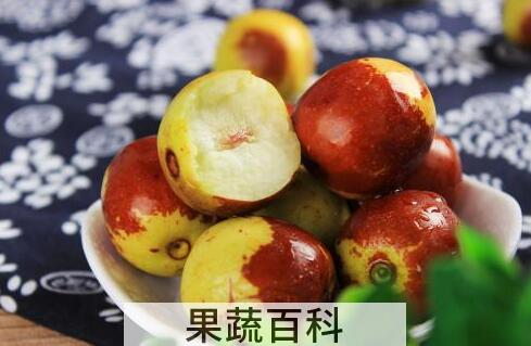 冬枣的营养功效与作用