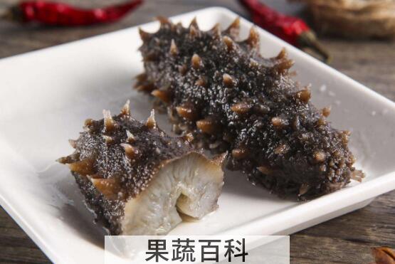 九类人群不适合吃海参 吃海参的禁忌