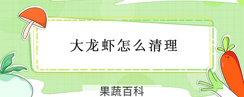 大龙虾怎么清理