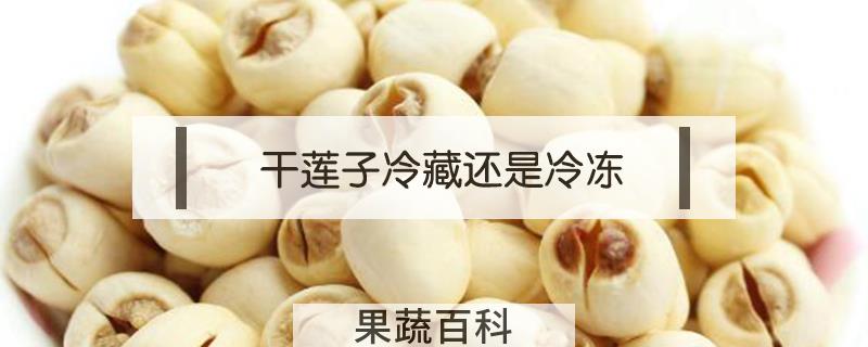 干莲子冷藏还是冷冻