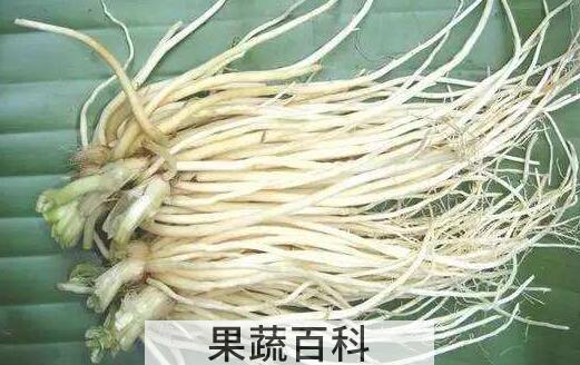 吃葱须的好处和坏处