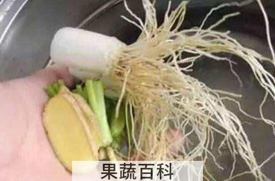 吃葱须的好处和坏处