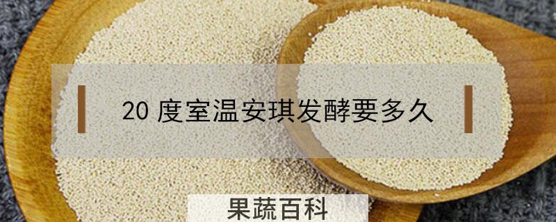20度室温安琪发酵要多久