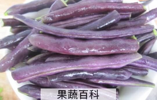 紫皮芸豆的功效与作用