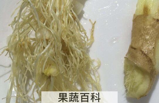 大葱根须的功效和禁忌
