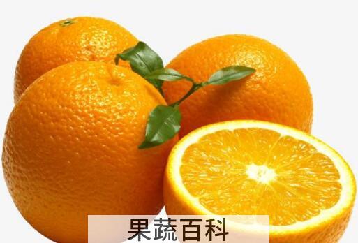 女人每天吃橙子的好处