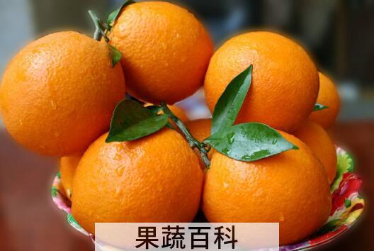 女人每天吃橙子的好处