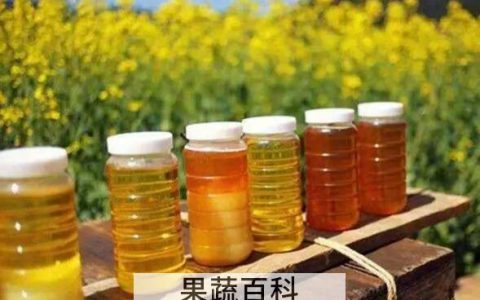 油菜花蜜为什么便宜 油菜花蜜是最差的蜂蜜吗