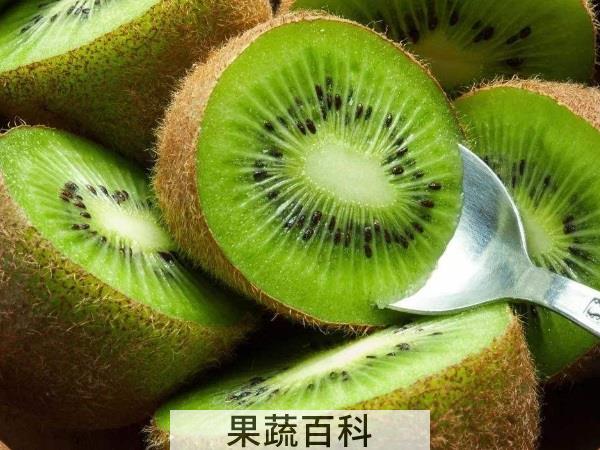 汁酒冰沙拉任君选 猕猴桃的吃法推荐