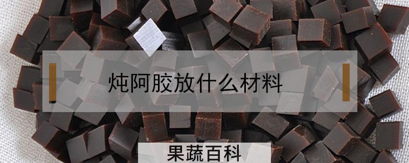 炖阿胶放什么材料