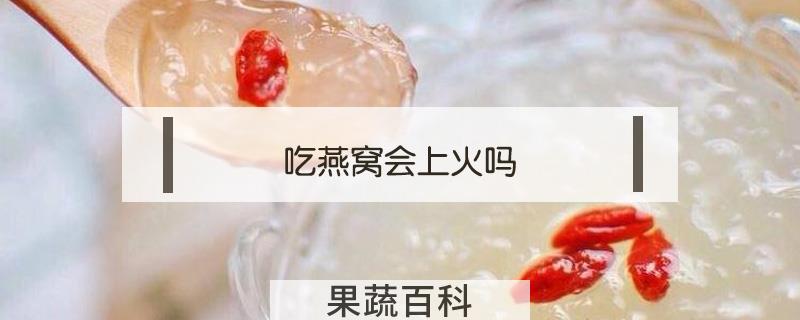 吃燕窝会上火吗