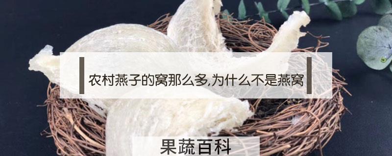 农村燕子的窝那么多,为什么不是燕窝