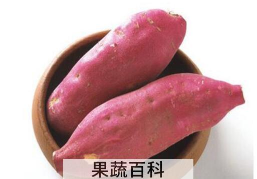 吃红薯犯4个禁忌会短命