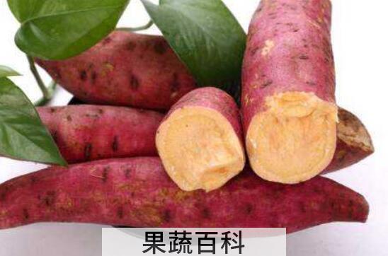 吃红薯犯4个禁忌会短命