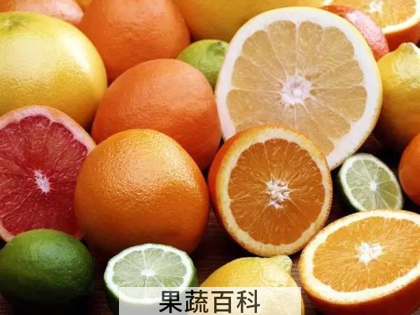 柠檬酸和维生素C谁高 青柠檬和黄柠檬的区别