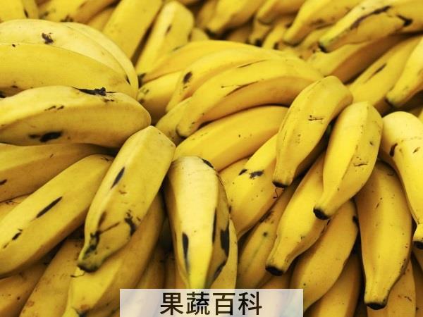 掌握节点很重要 香蕉什么时候吃最好减肥