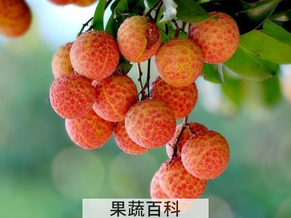超级宝宝养成攻略 喂奶期间吃水果的好处
