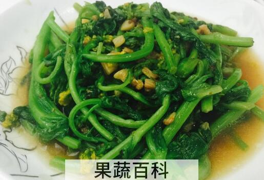 香油菜怎么做 香油菜的家常做法教程
