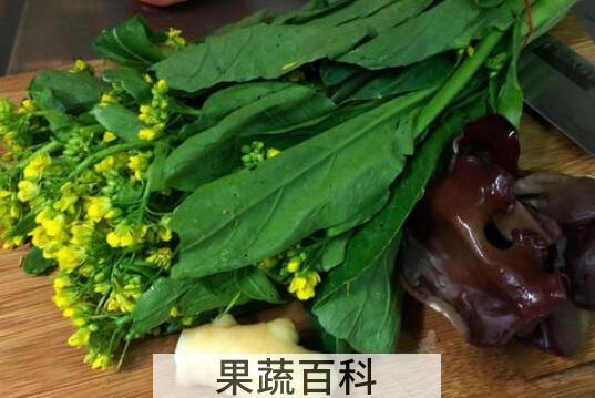 香油菜怎么做 香油菜的家常做法教程